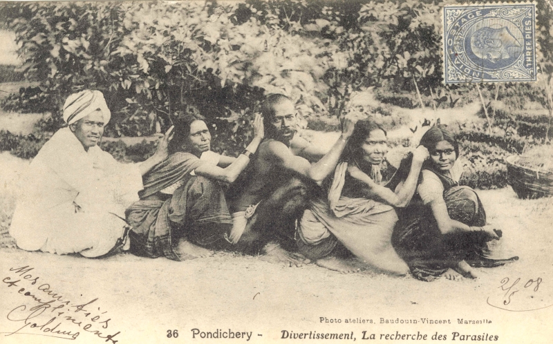 16-19 - Pondichery - recherche de parasites